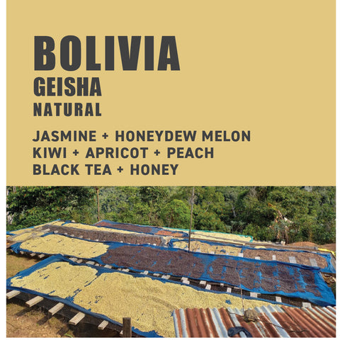 Bolivia Geisha Coffee