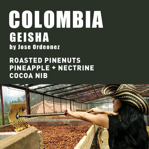 Colombia Geisha