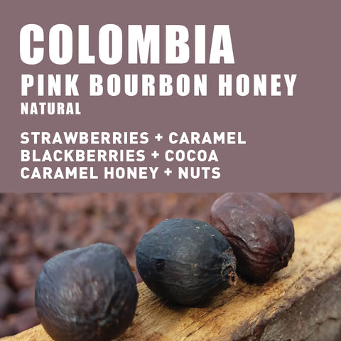 Colombia Pink Bourbon Honey