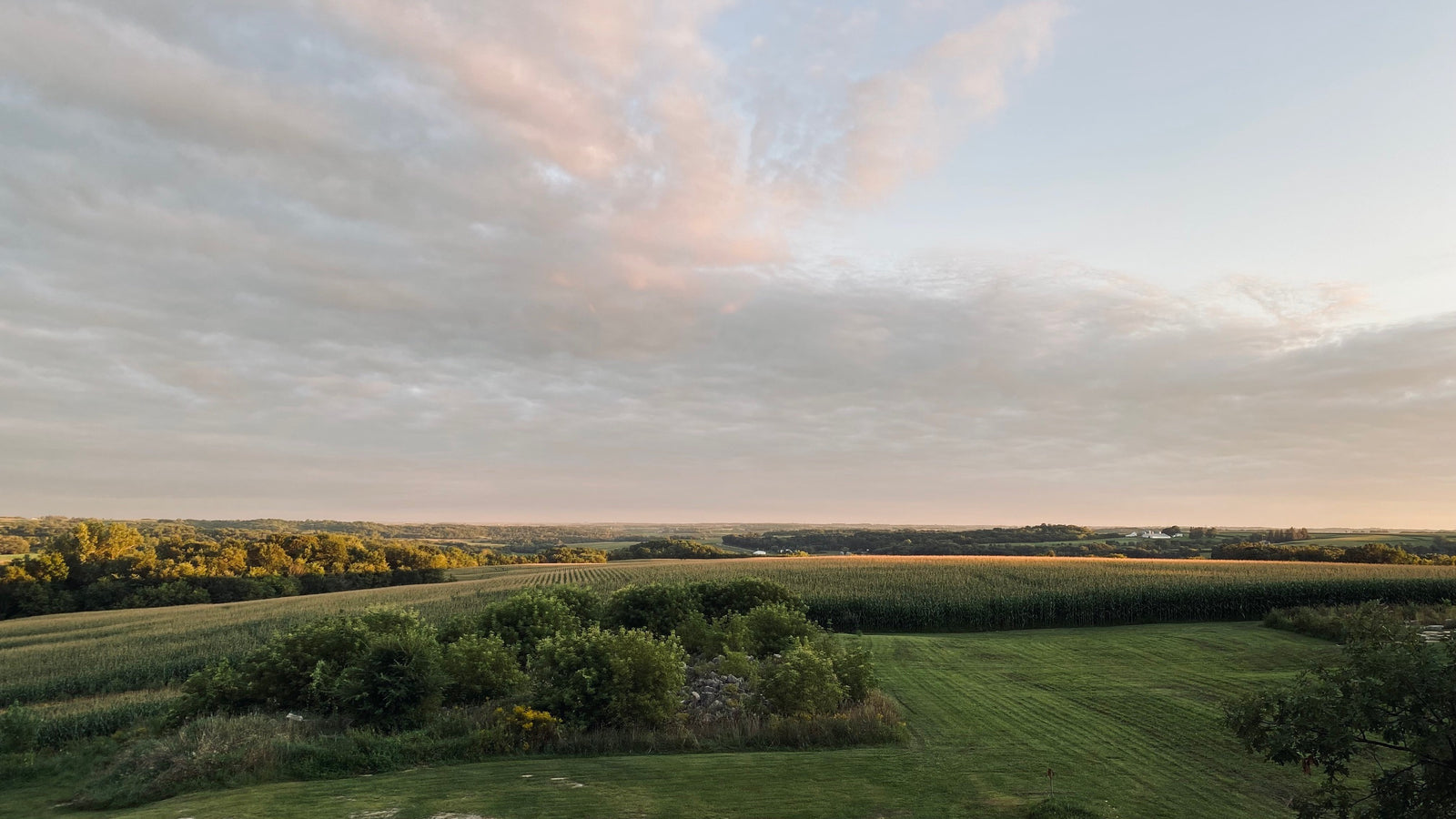 Big Raven Farm Summertime