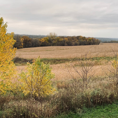 Big Raven Farm Vistas