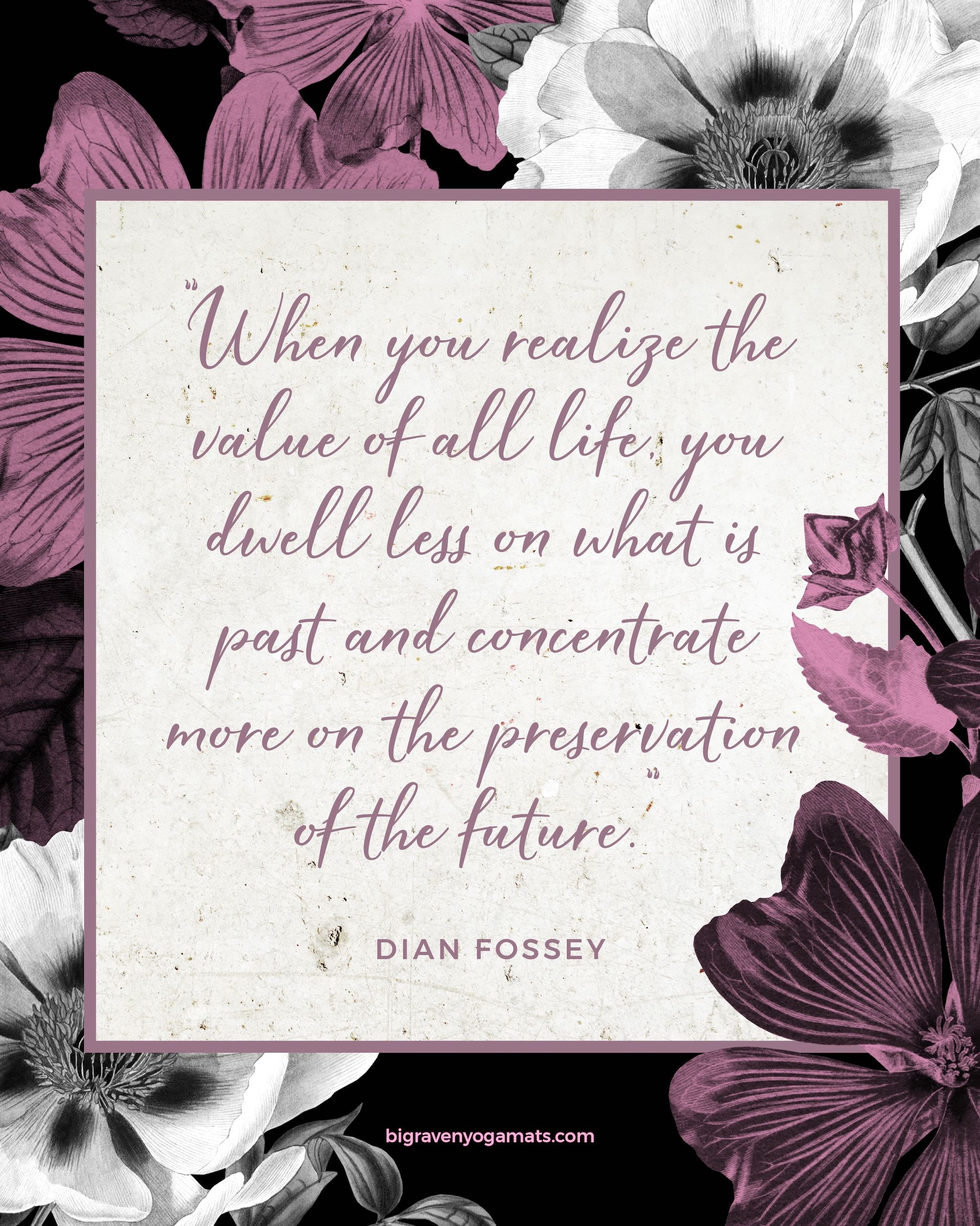 Quote: When you realize the value of all life, you dwell less on what is past and concentrate more on the preservation of the future. Dian Fossey