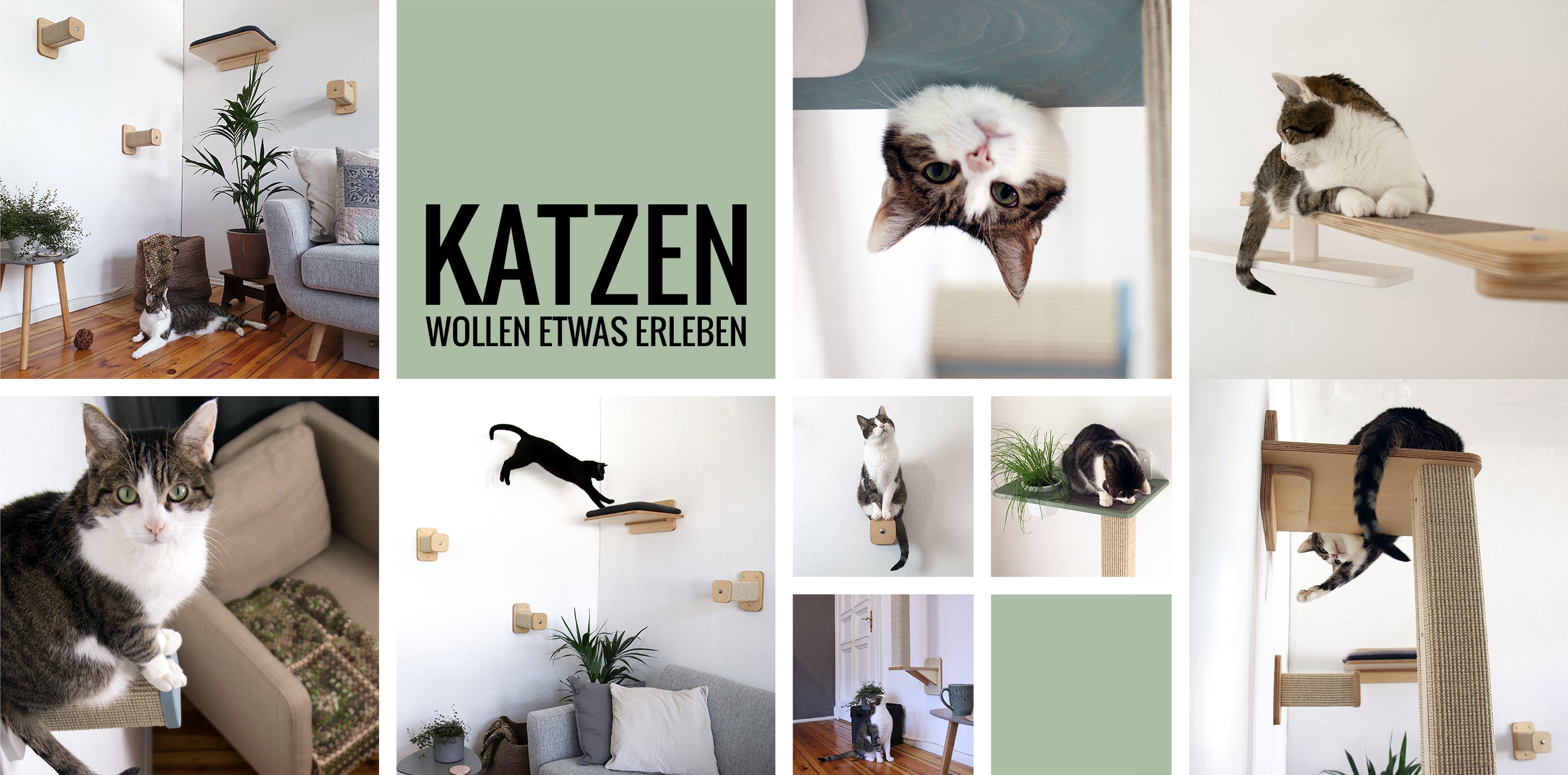 Katzenart Kletterwand Elemente Fur Katzen Katzenart