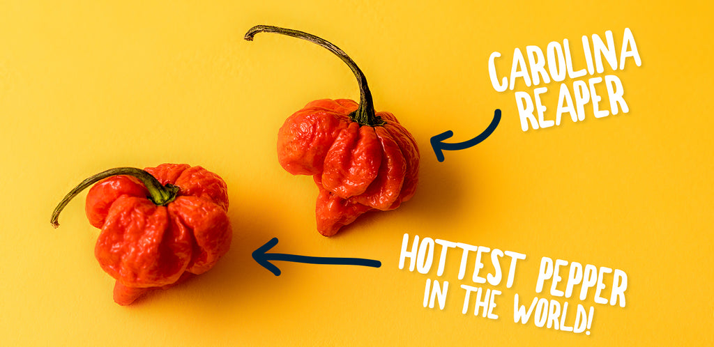 carolina reaper