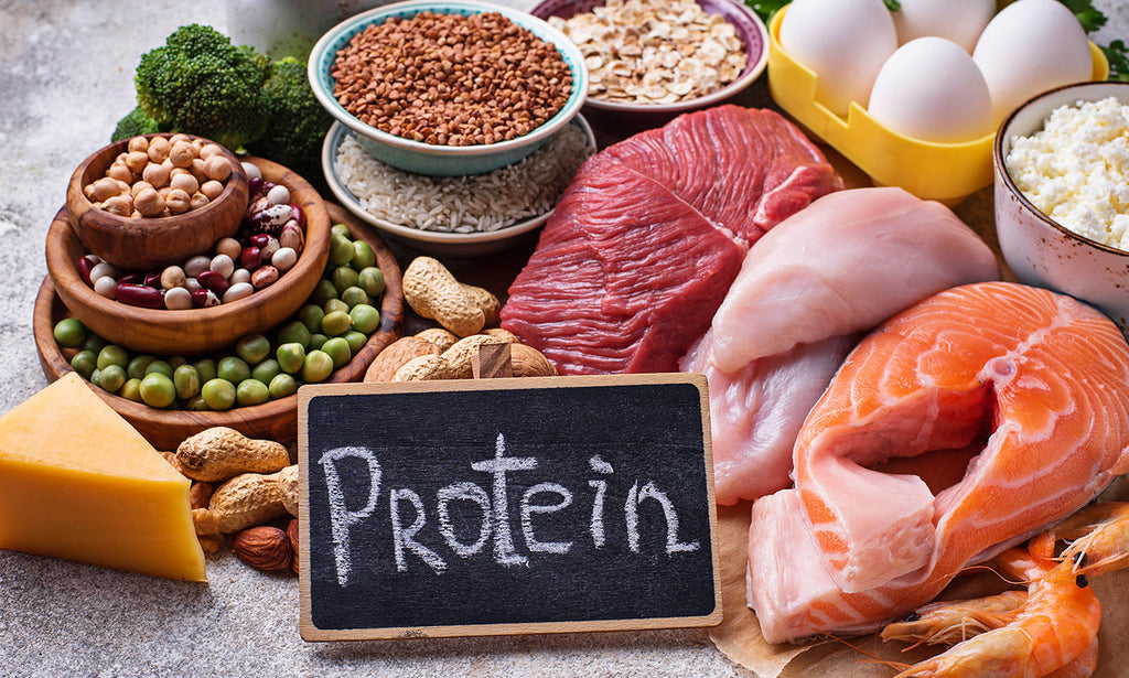 healthy protein foods