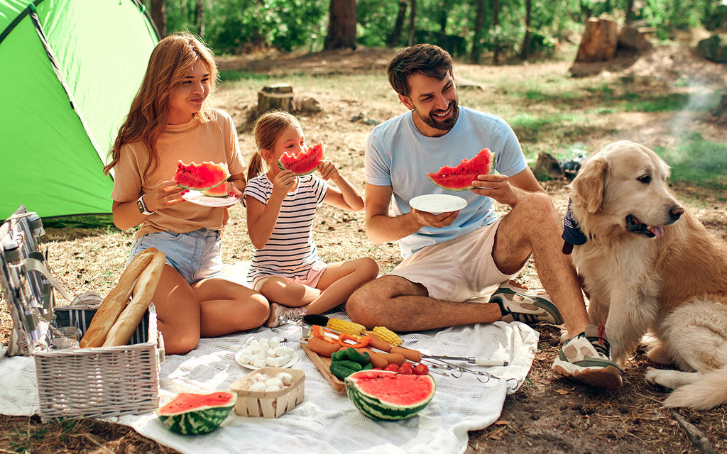 happy family camping and eating healthy