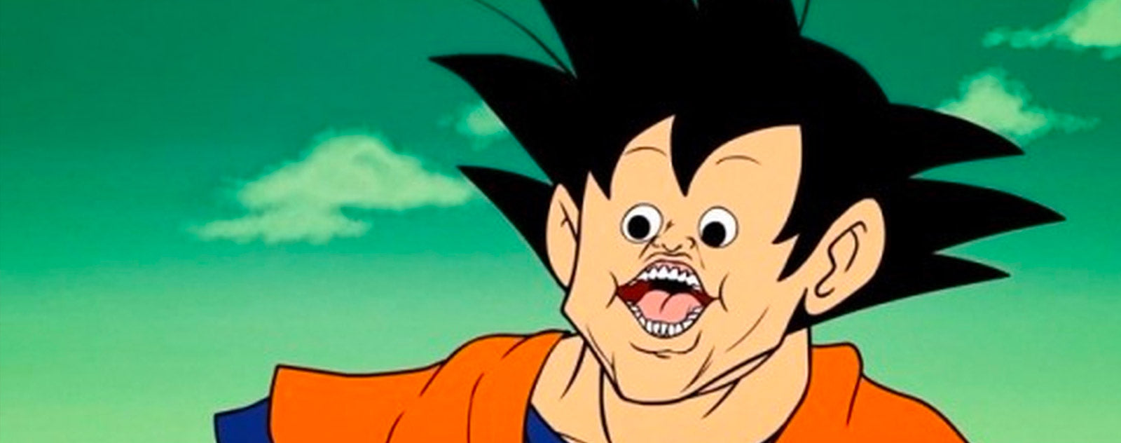 Goku Idiot