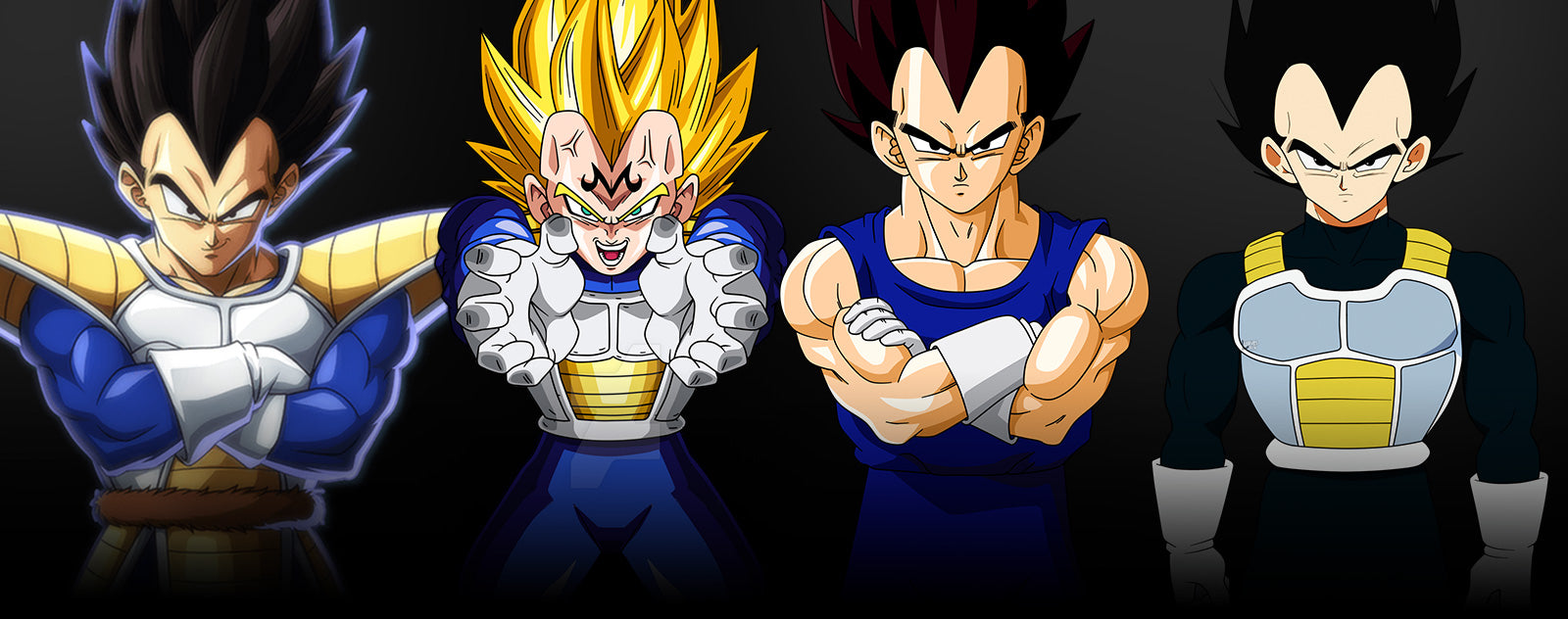 Vegeta Outfits