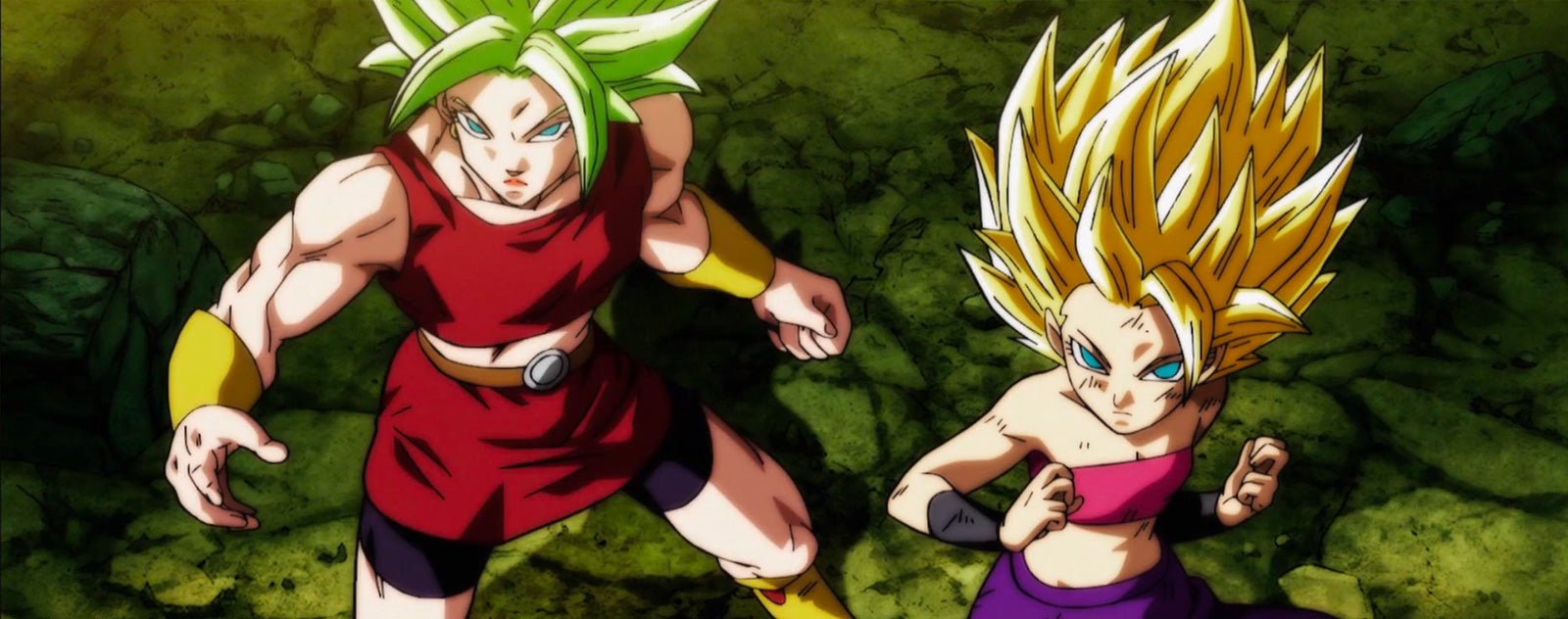 Col rizada y caulifla