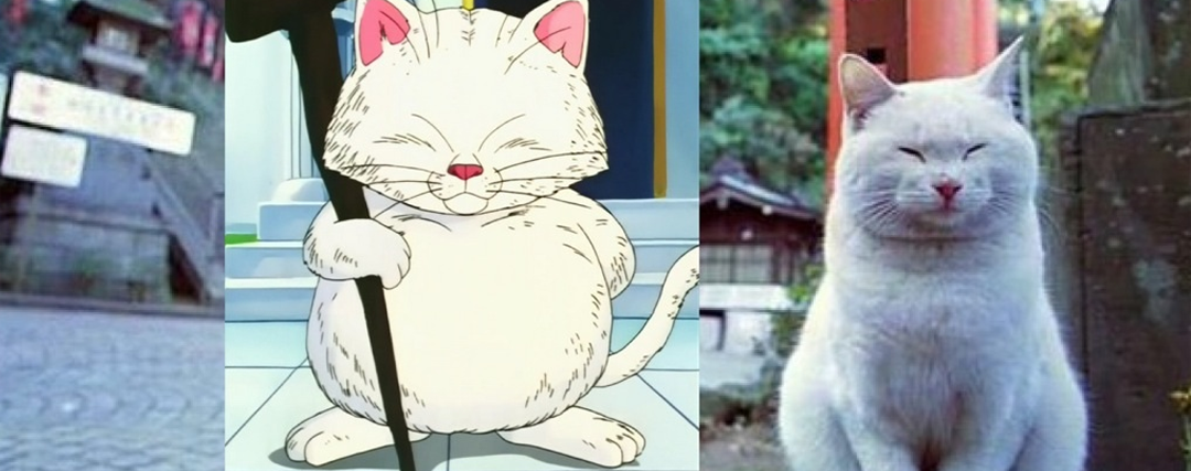 master karine compared to a cat