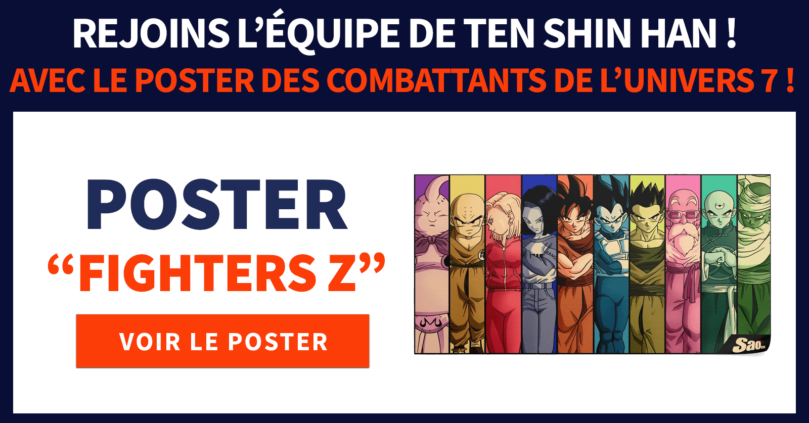 Poster DBZ Fighters Z