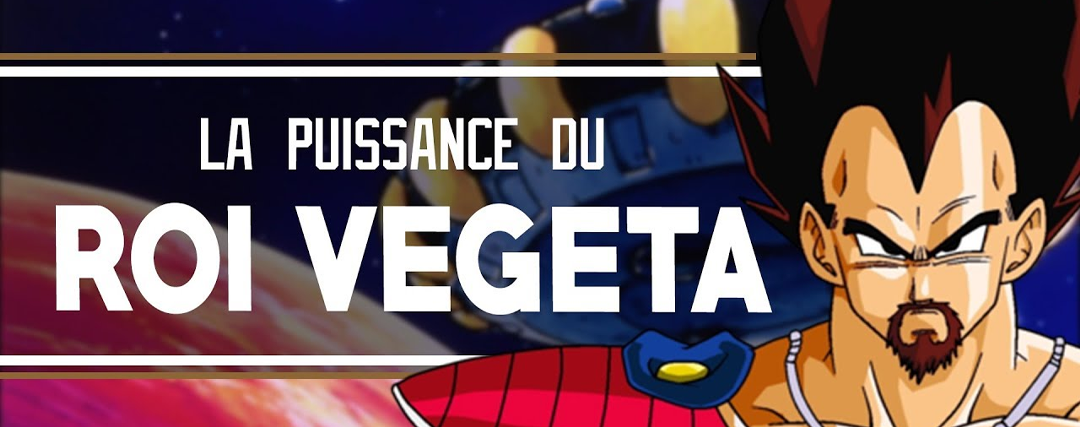 Roi Vegeta Puissance