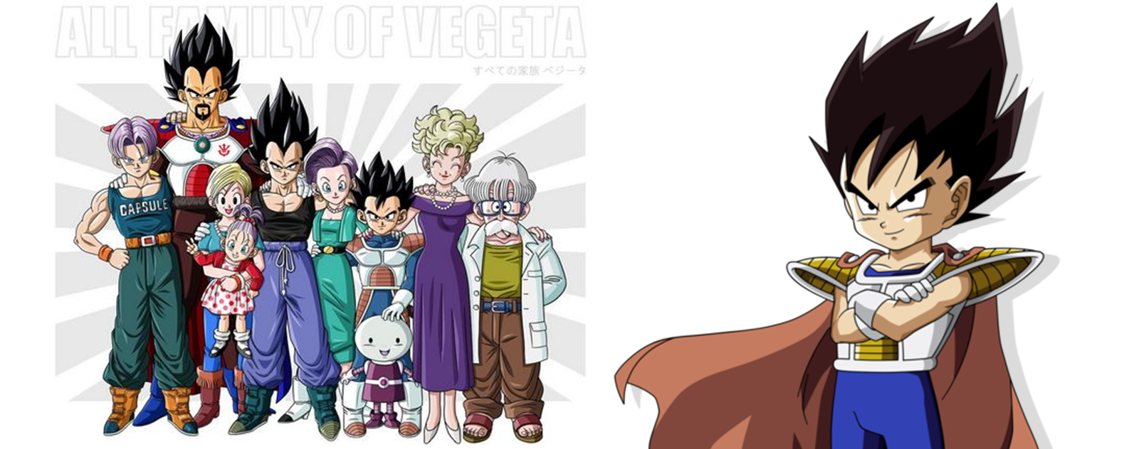 La familia de Vegeta