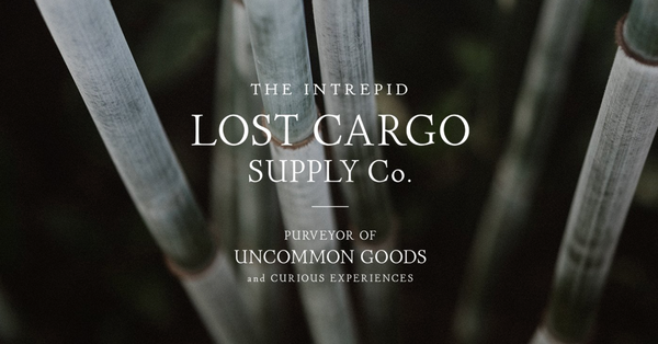 LOST CARGO