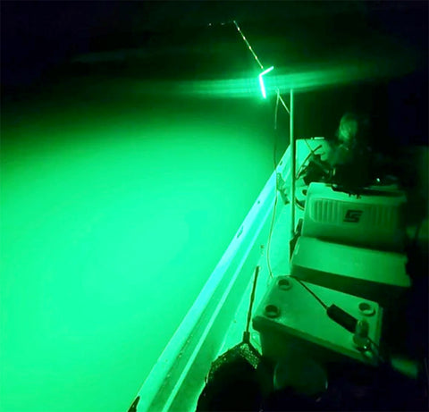 5 Reasons Why Underwater Fishing Lights Help You Catch More Fish