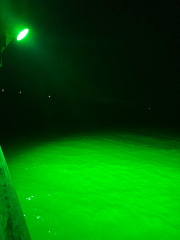 Above Water Green Fishing Light for Rental Property