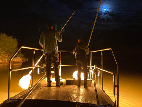 Electrofishing at Night with Swamp Eye HD Lights