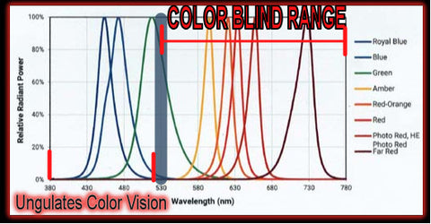 Night Hunting Vision Chart