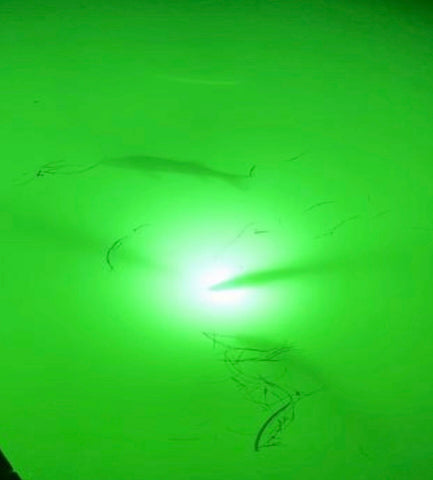 Underwater LED Dock Fishing Light