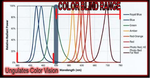 Varmint Color Spectrum