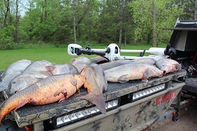 bowfishing at night with bright lights for invasive species