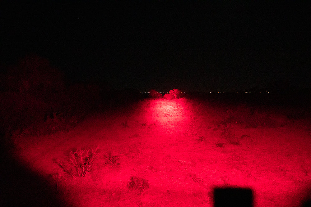 coyote hunting light