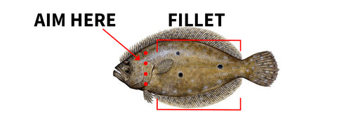 where to gig a flounder