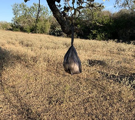 hog bait attractant bag