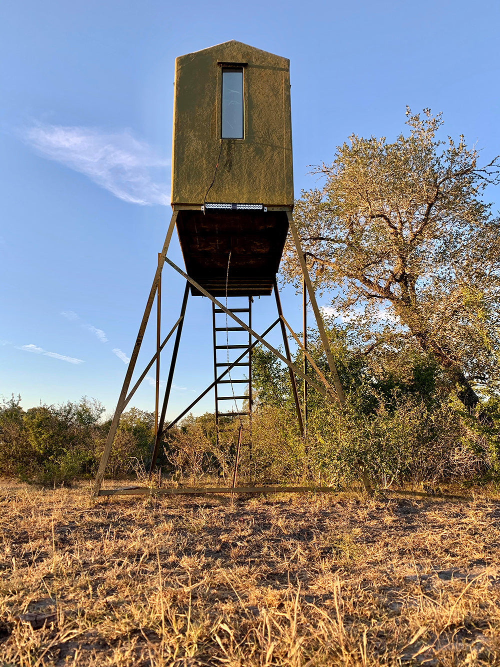 hog feeder light mounted to deer blind