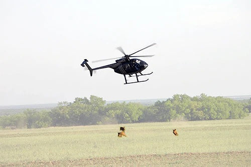 hog hunting in Texas on helicopter