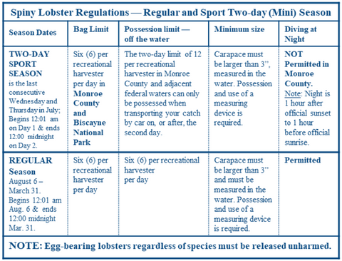 Rules and Regulations for Lobstering and Bully Netting