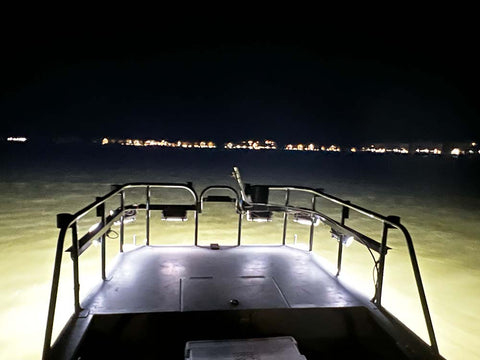 Electrofishing with Swamp Eye HD Boat Lighting