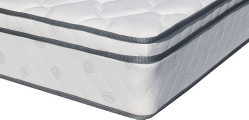 american star plush mattress