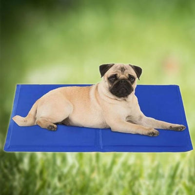 cooling mats for dogs nz