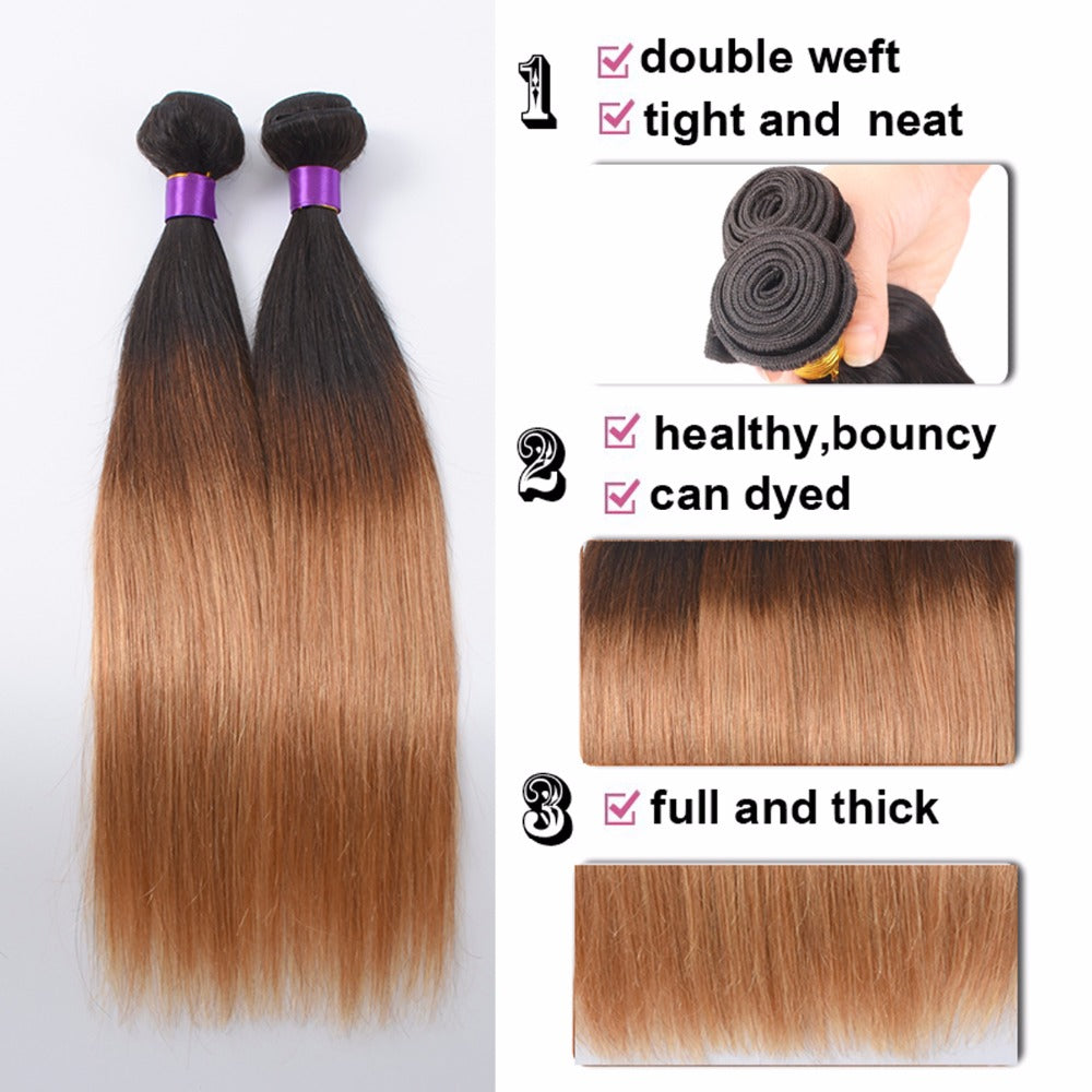 Ombre Brazilian Straight Human Hair Extension Two Tone Color