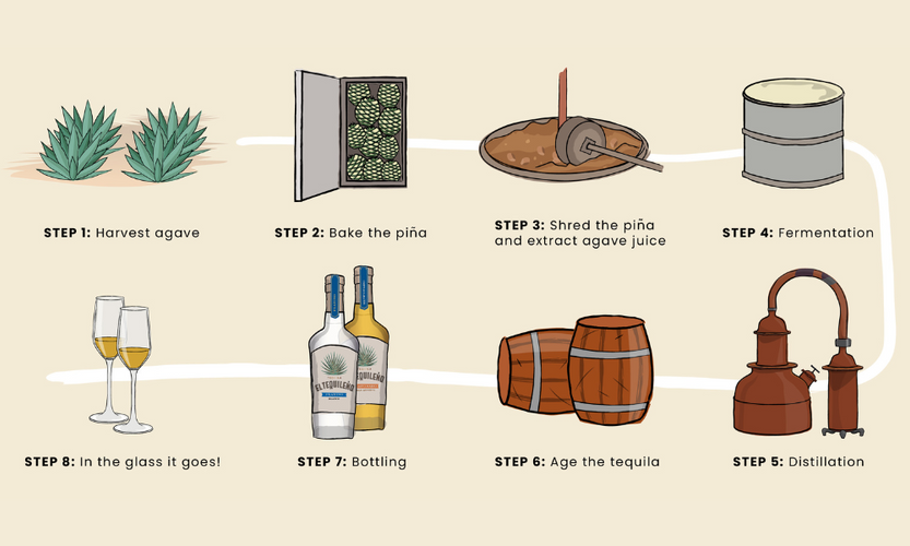 How to Make Tequila 101 Willow Park Wines & Spirits