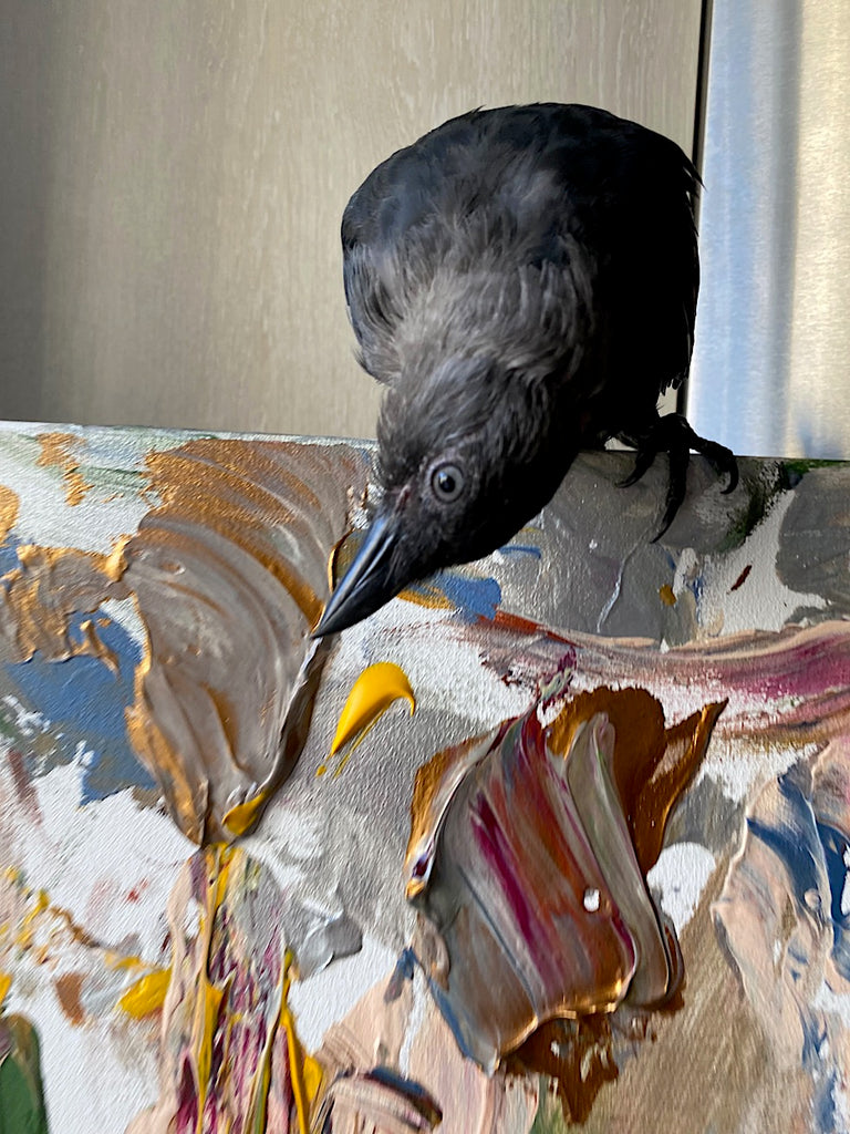 living with a jackdaw painter Liis Koger