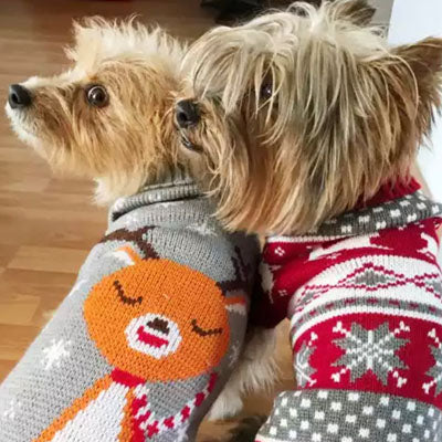 small dog christmas jumper