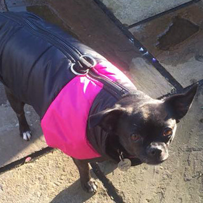 Gilet Style Water Resistant Padded Dog Coat Black And Hot Pink Jacket – My Chi and Me
