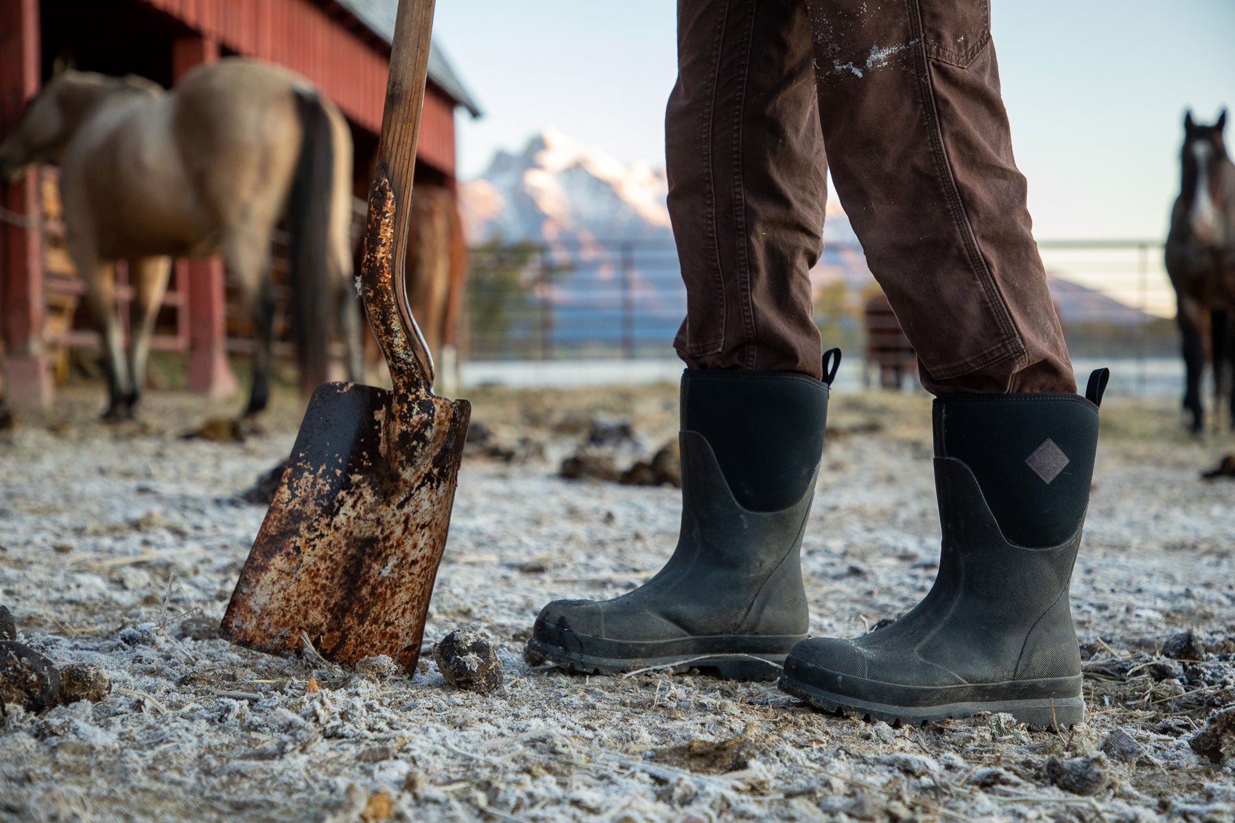 horse riding gumboots