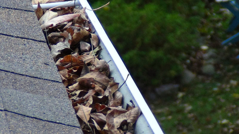 Gutter Cleaning Near Me in High Point NC