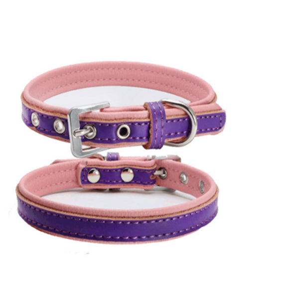 purple leather dog collar