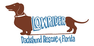 Low Rider Dachshund Rescue of FL