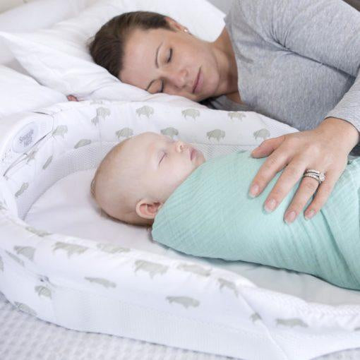 baby delight snuggle nest harmony infant sleeper