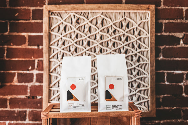 Two bags of Terrain coffee beans against an intricate print and brick wall 