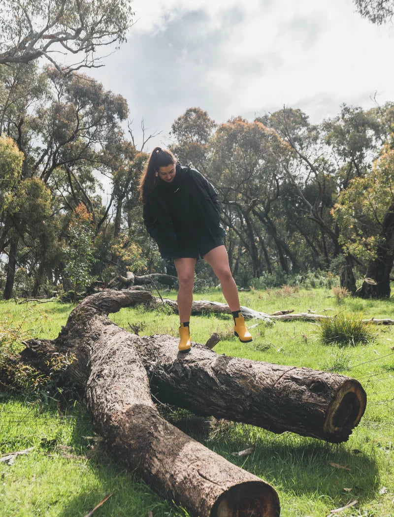Bella standing on wood logs