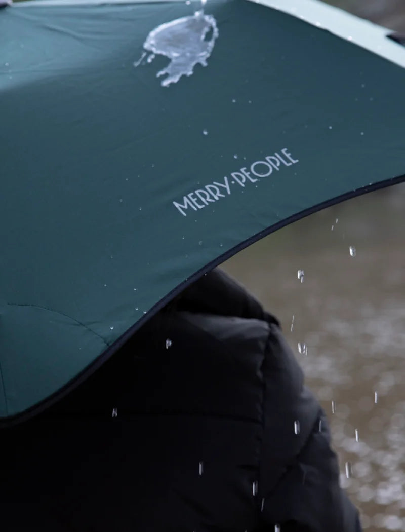 close up shot of the umbrella