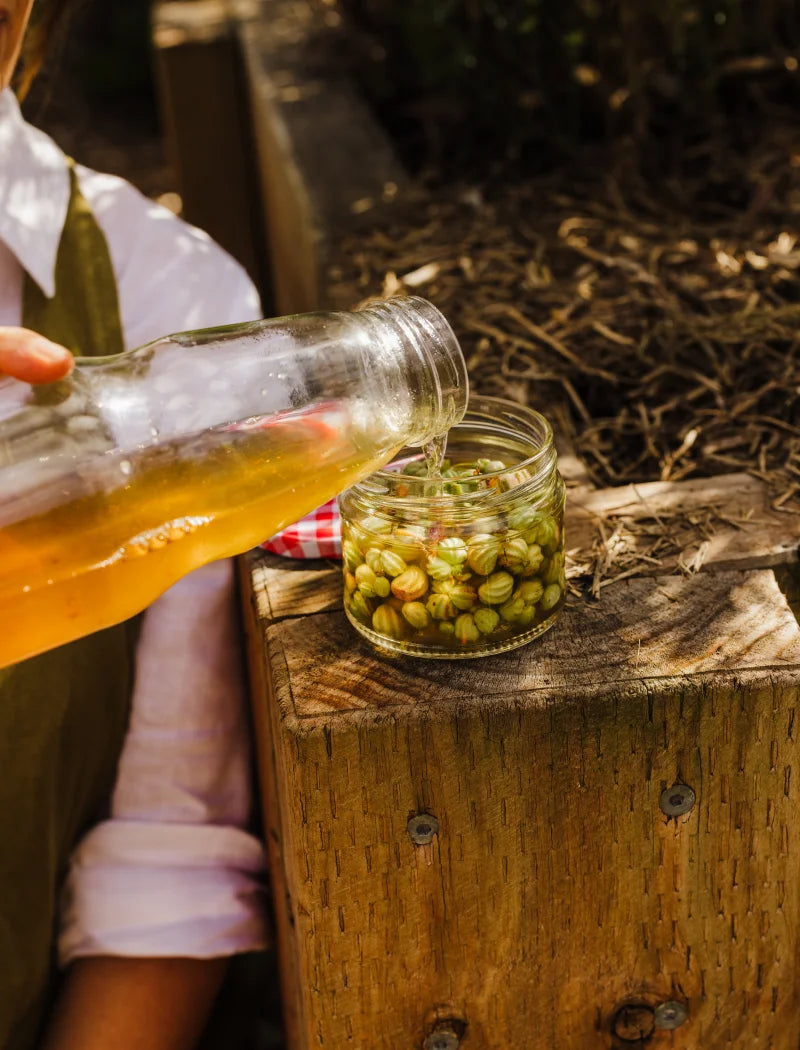 creating fresh oil from the veggies