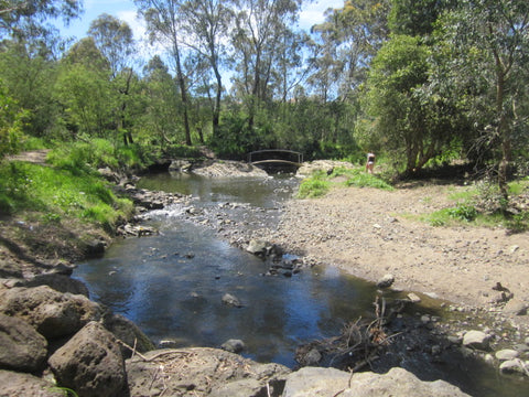 Darebin Parklands