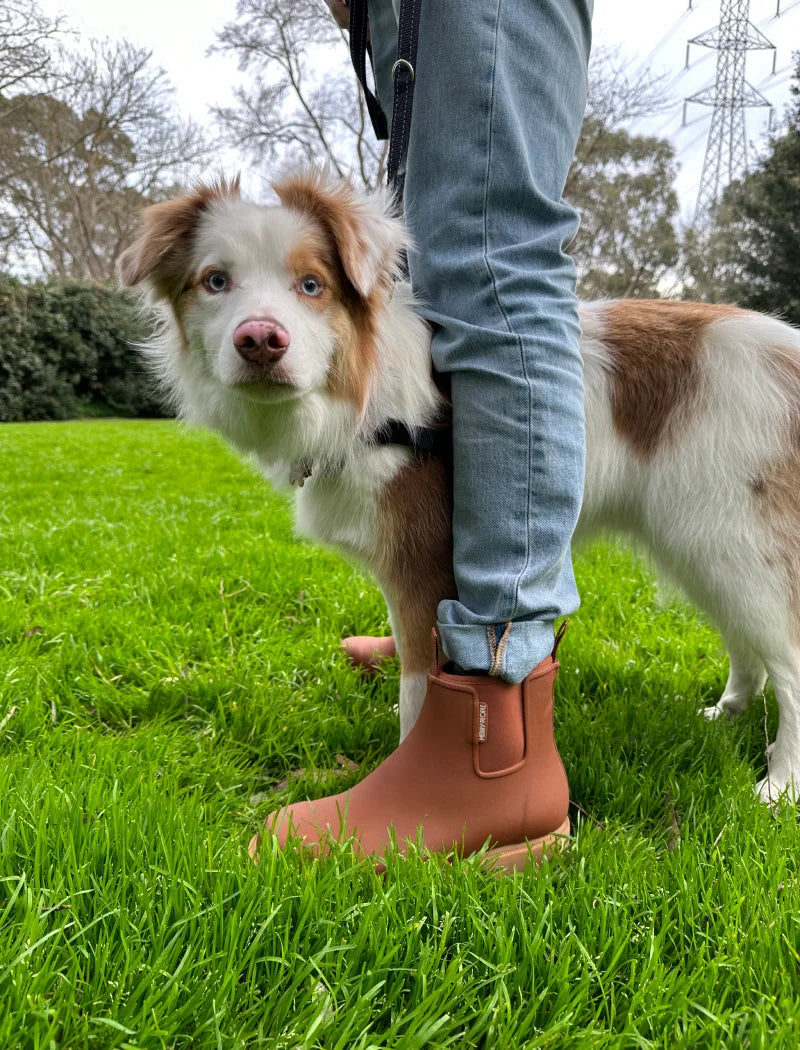 rust boots and dog